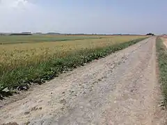 La chaussée de Préseau vers Aulnoy-lez-Valenciennes