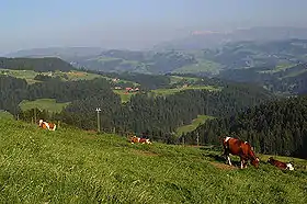 Vue sur l'Emmental.