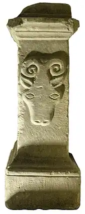 Image illustrative de l’article Lactora