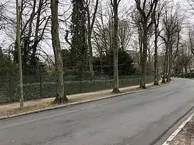 Image illustrative de l’article Avenue Circulaire