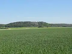 Le terril n° 75 de Pinchonvalles.