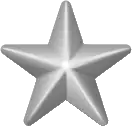 La 5⁄16 Inch Star (argent)