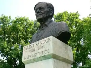 Buste de Márton Kalmár (hu) sur la place du Roi Matthias à Szeged