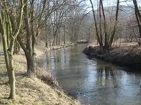 Photo du cours d'eau La Bílina