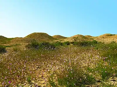 Tumulus de la nécropole Madinat Hamad 1