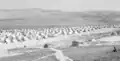 Camp de Balata en 1950.