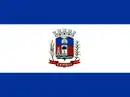 Drapeau de Cambuí