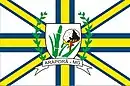 Drapeau de Araporã