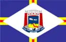 Drapeau de Santos Dumont