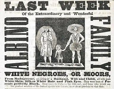 Détail d'affiche publicitaire avec gravure sur bois représentant une famille d'albinos.