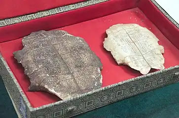 Carapace de tortue datant de la dynastie Shang (-XVIe&nbsp;siècle — -XIe&nbsp;siècle) comportant de l'écriture ossécaille, provenant d'Anyang