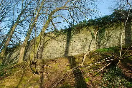 Le mur d'enceinte au sud de la Porte de Bruxelles.
