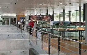 À l'étage : la civilisation des oppida et la période de l'âge du fer.