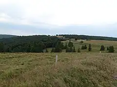 Panorama près du Markstein.