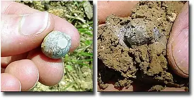 Gauche : bille de plomb sur sol calcaire. Droite : à - 60 cm, issue d'un obus shrapnell tiré entre 1914 et fin 1918, récupérée à 60 cm de profondeur dans un site bouleversé par la guerre de 14-18 (près de Verdun)