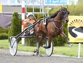 Image illustrative de l’article Billie de Montfort