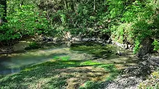 La source du Sesserant.