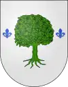 Blason