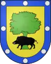 Blason