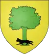 Blason