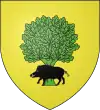 Blason