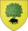 Blason