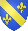 Blason de Thiembronne