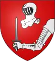 Blason famille de Costentin