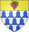 Blason de Cesset
