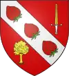 Blason de Vergt