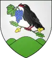 Blason de Vázsnok