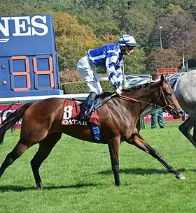 Image illustrative de l’article Blue Rose Cen