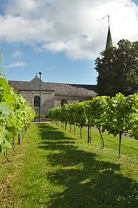 Image illustrative de l’article Vignoble de Bretagne