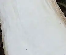 Chair blanche immuable.