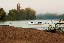 Bords de l'Allier vers Moulins