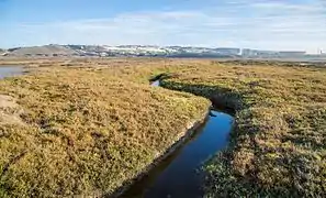 Border Field State Park&nbsp;(en)