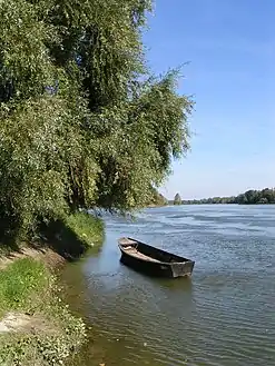 Photographie en couleurs d'un fleuve et ses rives.