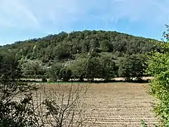 Le coteau ouest du ruisseau de l'Inval au moulin Lacombe.
