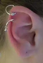 Une agrafe d'oreille.