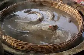 Cuisson du boudin à l'ancienne