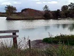 Paysage du Marais breton-vendéen à Bouin.