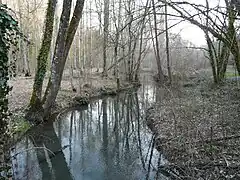 Le Boulou au lieu dit la Forge du Boulou.