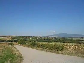 Bradarac (Aleksinac)