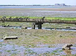 Bradwell, vue du tuyau d'évacuation des eaux usées.