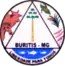 Blason de Buritis