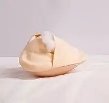 image d'une prothèse posée sur la face avant et montrant la face arrière qui s'ouvre comme une taie d'oreiller permettant de moduler la quantité de fibre contenue.