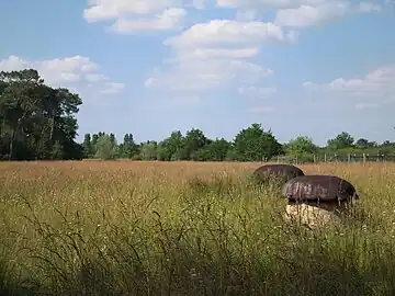 La prairie de l'étang de Bellebouche en 2014.