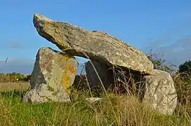 Dolmen dit La Pierre Levée de Soubise.