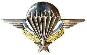Brevet général de parachutisme militaire français, obtenu entre 5 à 7 sauts selon situation et au jugé du commandement (la disponibilité avions en est la cause majeure)