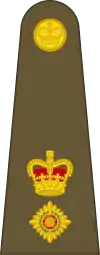 Lieutenant-Colonel